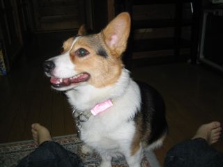 20060317-13