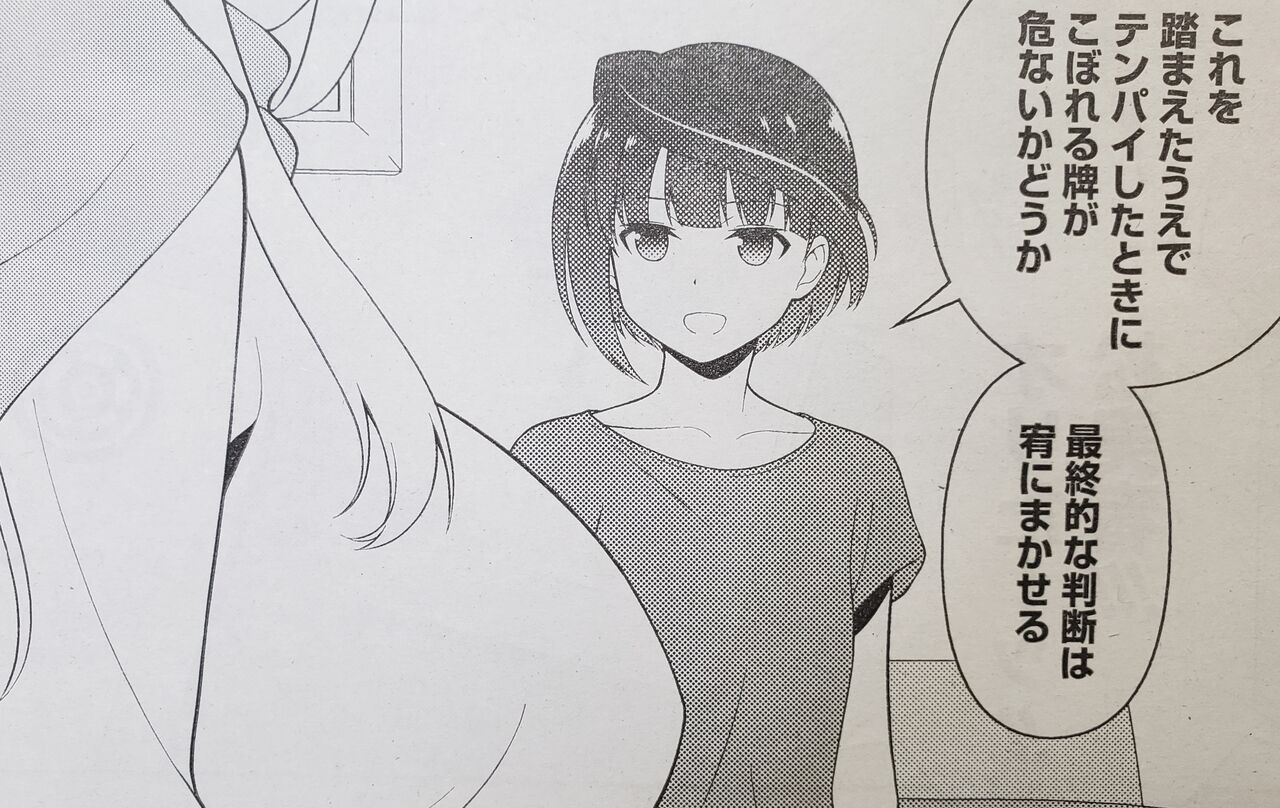 咲 Saki となりの嶺は白く見える