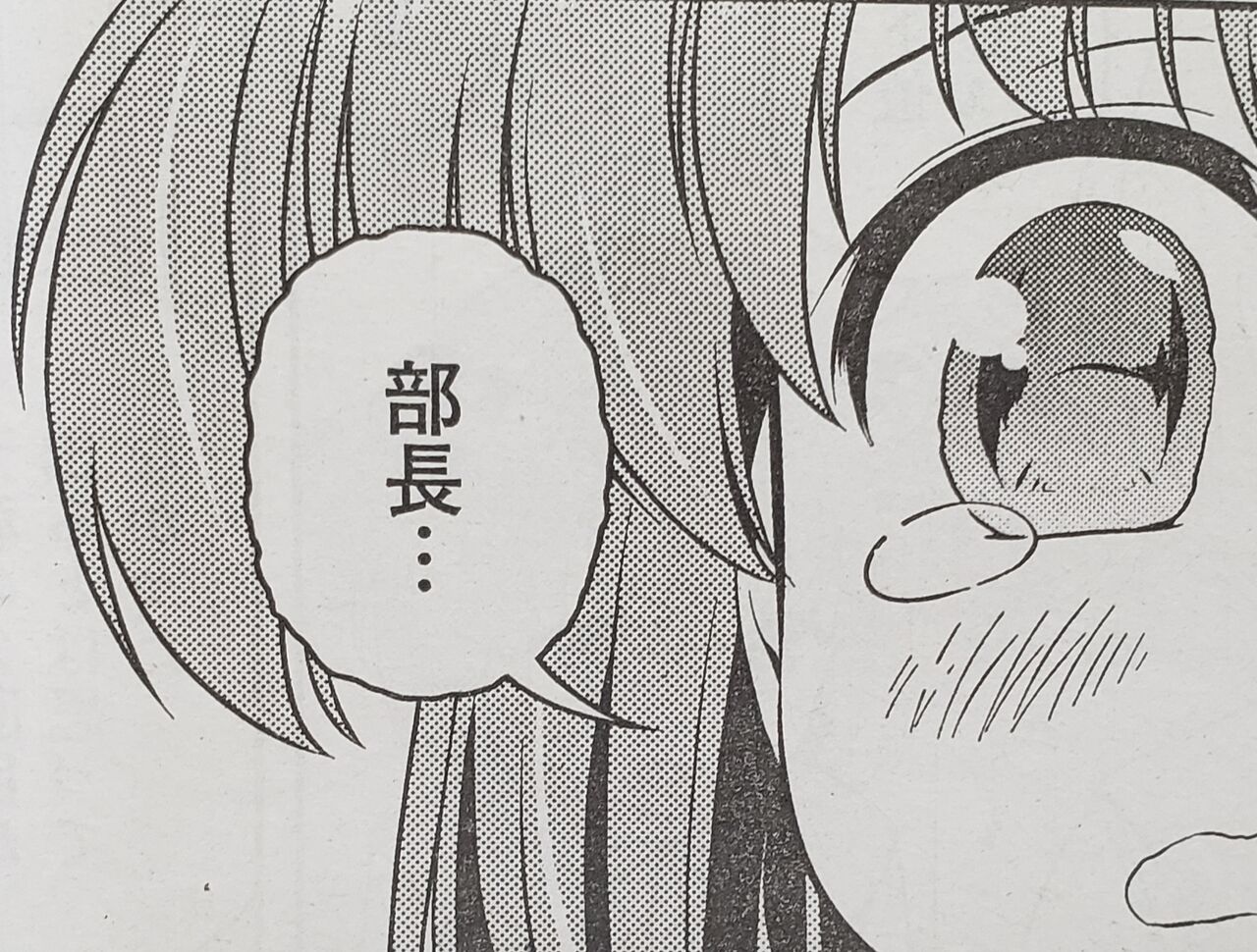 咲 Saki 第219局 帰京 感想 となりの嶺は白く見える