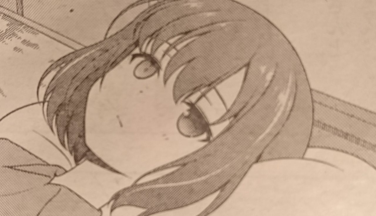 咲 Saki 第179局 傾蓋 感想 となりの嶺は白く見える