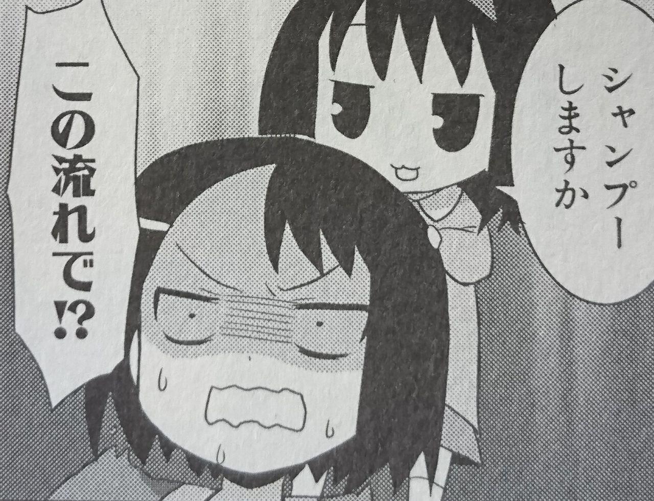 雑談 咲日和 個人的いろいろランキング となりの嶺は白く見える