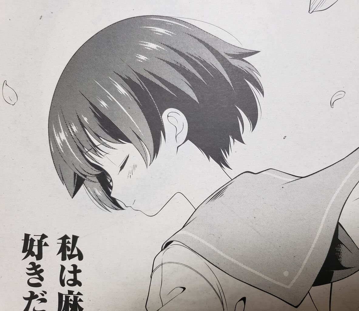 咲-Saki- 第284局 『愛好』 感想 : -となりの嶺は白く見える-