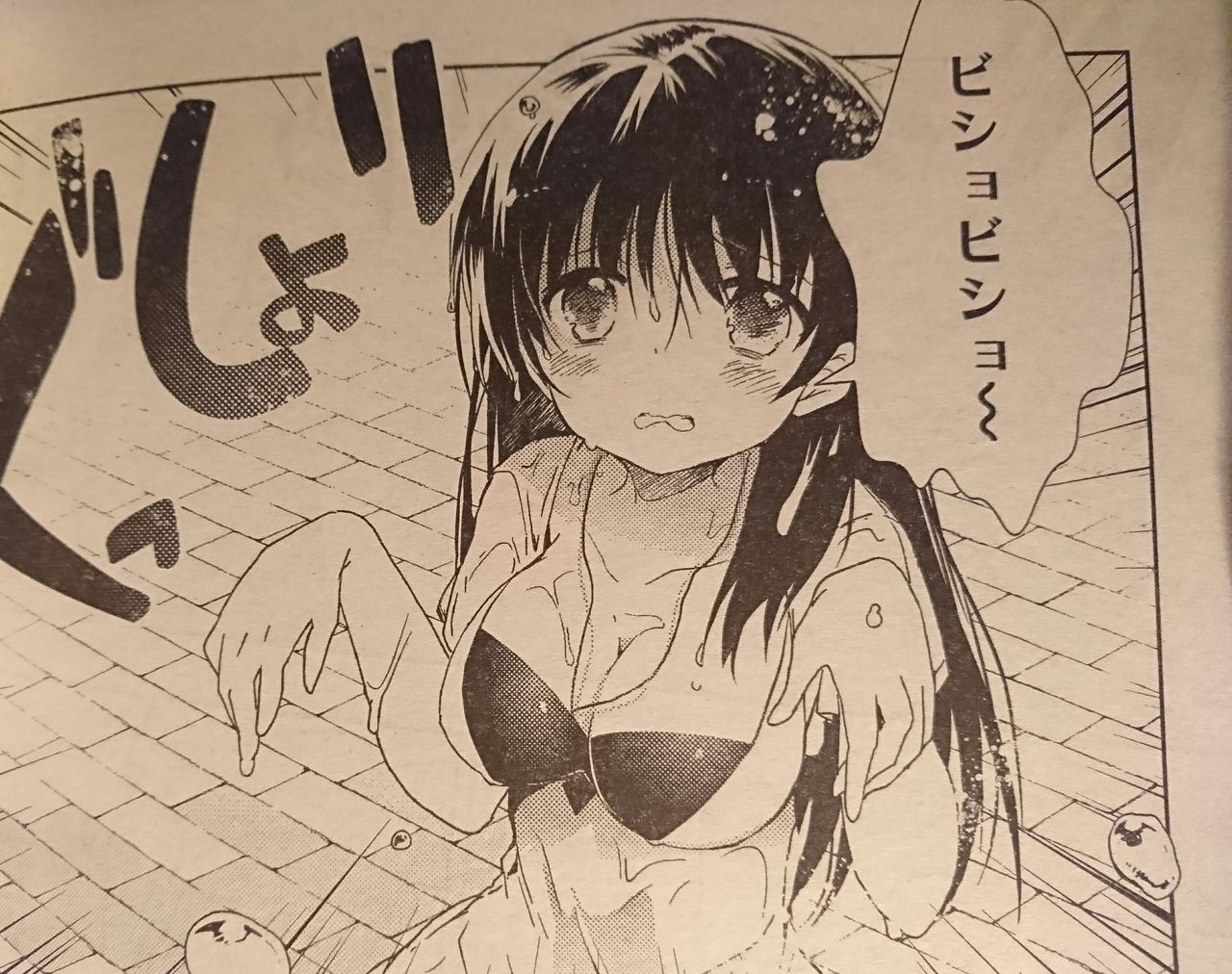 17年04月 となりの嶺は白く見える