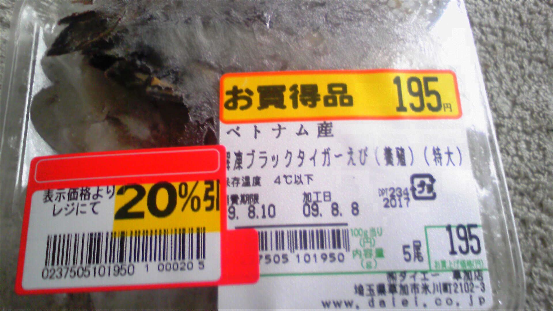 江戸川放水路ハゼ釣り実験 絶対 大漁 釣りレポート 江戸川放水路ハゼ釣り実験 絶対 大漁 釣りレポート