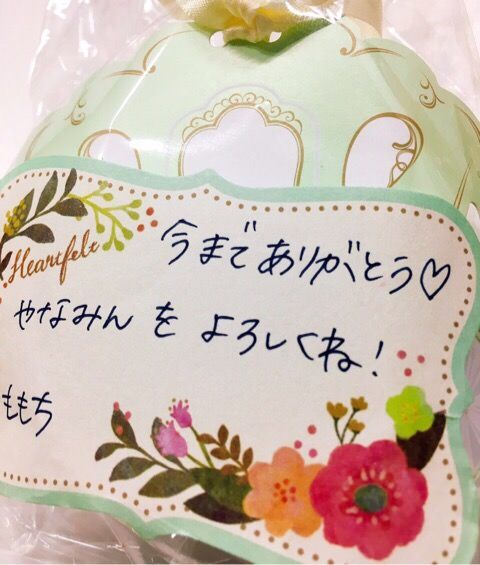 嗣永桃子ラストライブありがとう おとももち 高速感想会 の記録 坂道の娘たち