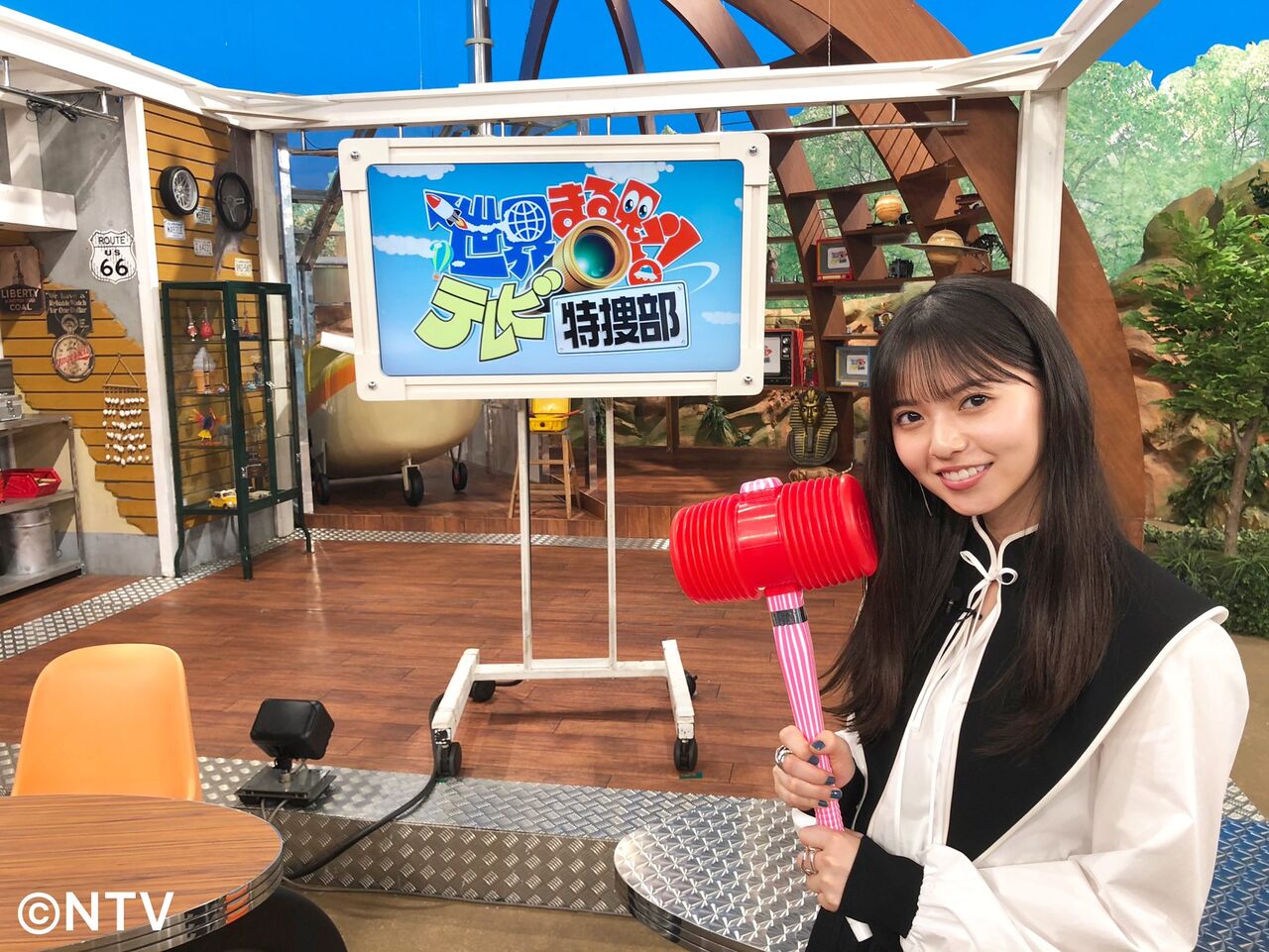 飛鳥ピコピコハンマー 世界まる見え テレビ特捜部 坂道の娘 飛鳥ピコピコハンマー 世界まる見え テレビ特捜部 坂道の娘
