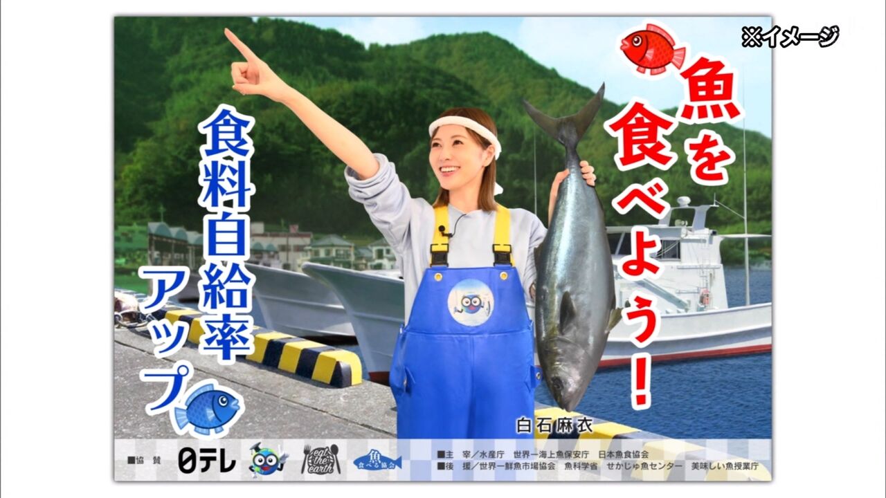 白石麻衣 水産庁へ逆オファーに水産庁広報が 坂道の娘