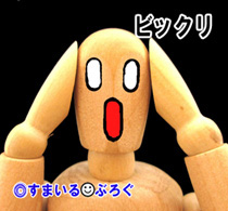 久しぶりに実家に帰ったら家がなかった