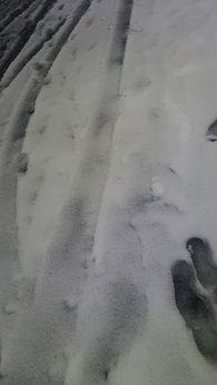 ロンダルキア台地 旅立ちはネアンデルタール