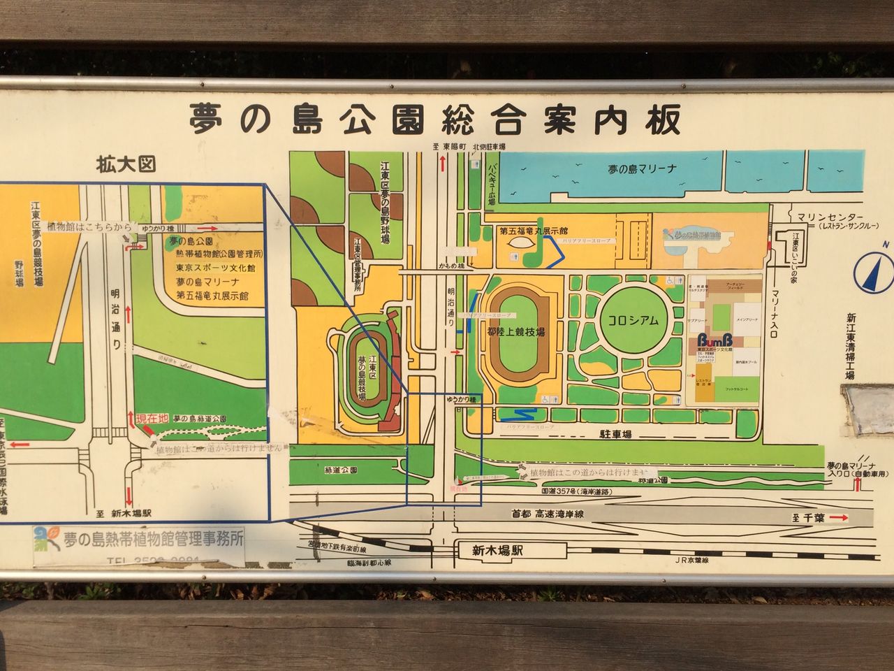 終わらない歌 ライブ スタジオコースト 旅立ちはネアンデルタール 終わらない歌 ライブ スタジオコースト 旅立ちはネアンデルタール