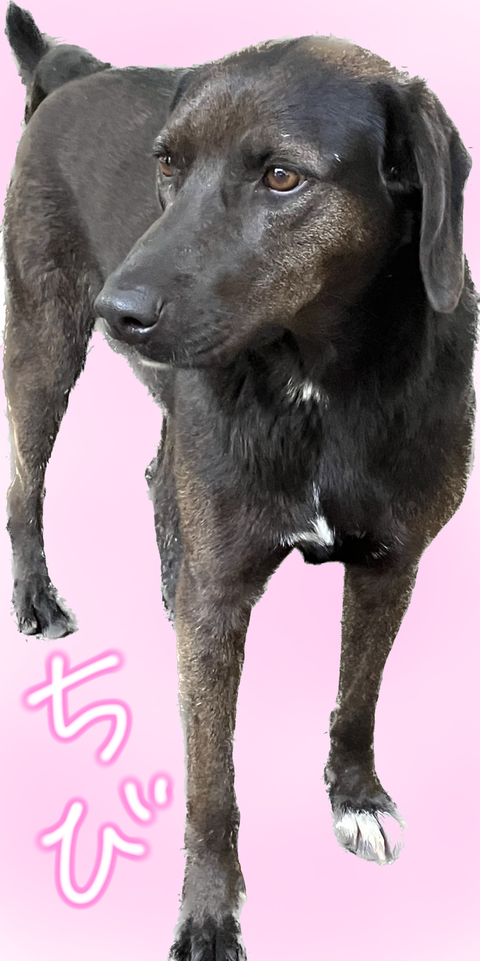 B3AA66D1-F072-404F-9AD7-A9612ADA37C0