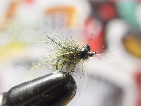RIMG4590