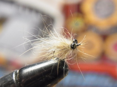 RIMG4591