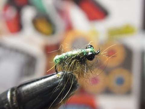 RIMG4593