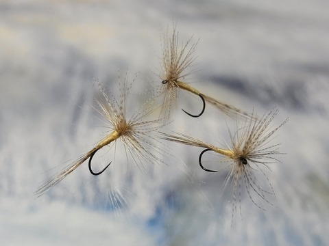 R0022739