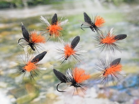 R0023338