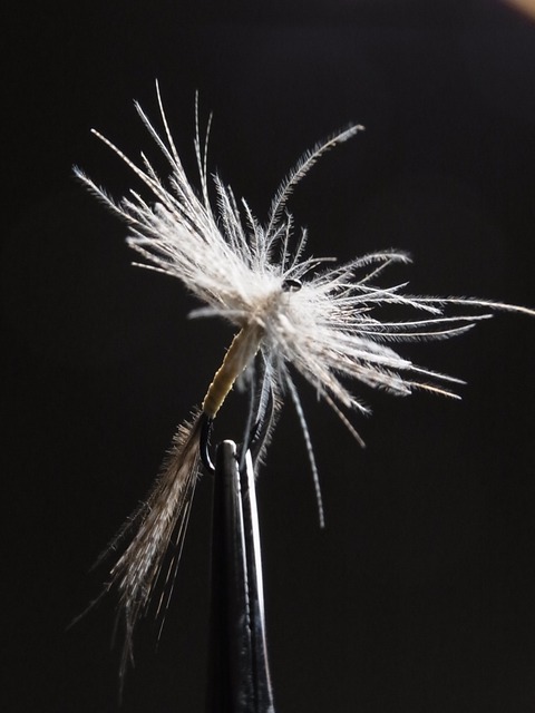 R0022743