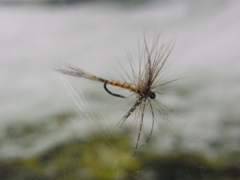 R0022650