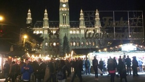 IMG_20151113_184837_652 (2)