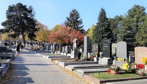 IMG_20211101_131624 (2)
