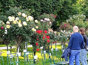 IMG_20250608_181023_SR (2)