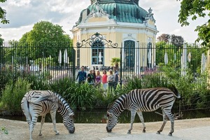 themenfuehrung_animal_detail_801