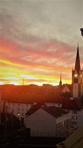 IMG_20141223_162443_988 (3)