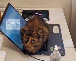 IMG-20240126-WA0000 (1)