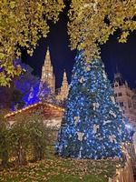 IMG-20231113-WA0011 (5)