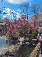 IMG-20240318-WA0022 (3)