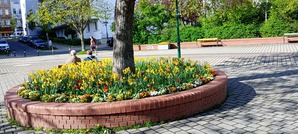 IMG_20240405_093031