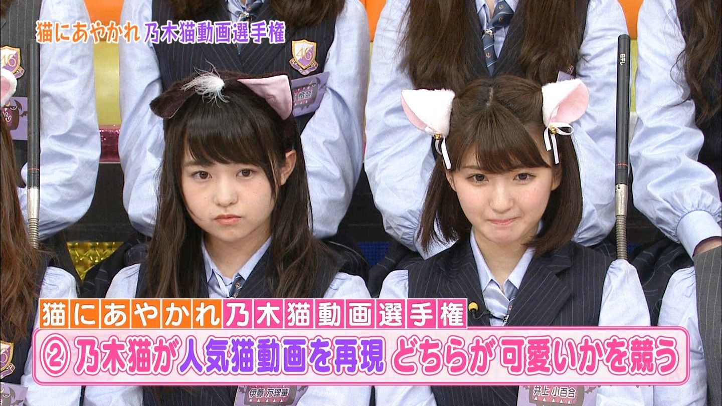 乃木猫が可愛すぎる件 乃木坂まとめたいっ