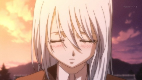 アニメ とら ドラ 1 話