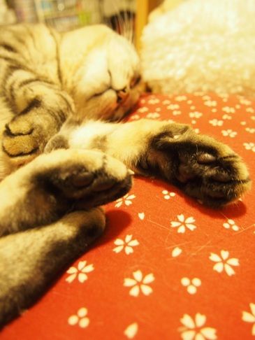 asleep