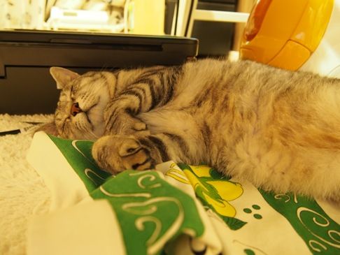 asleep