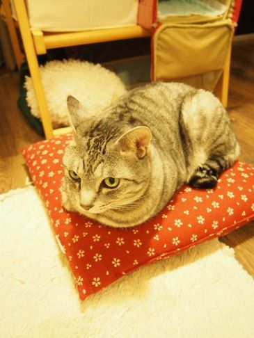 kagamimochi