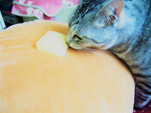 pancake