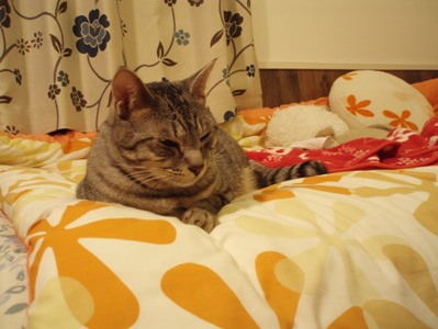 friend4
