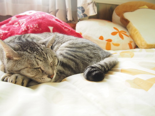 asleep