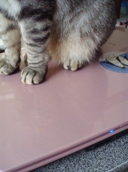 onthepc