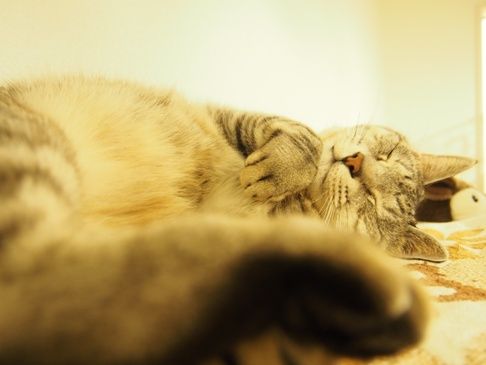 wink3