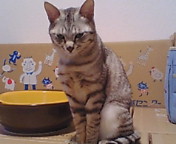 2225243f.jpg