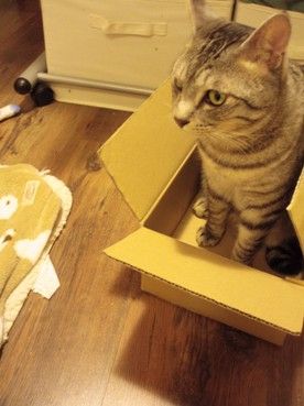 box