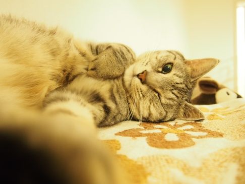 wink