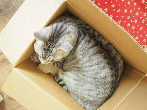 box