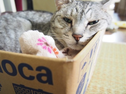 box