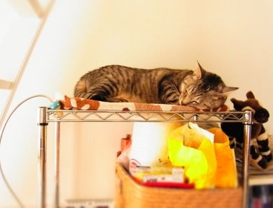 asleep