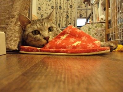 slipper