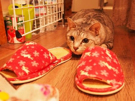 maru