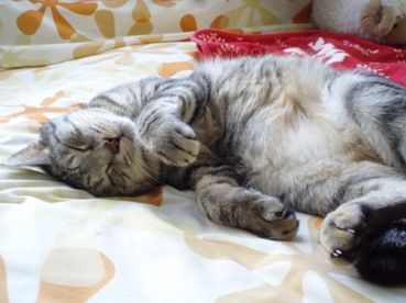 asleep2
